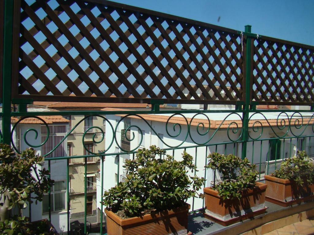 Sorrento Inn Guesthouse Exteriér fotografie